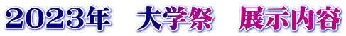 2023年　大学祭　展示内容