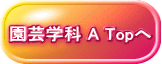 園芸学科 A Topへ