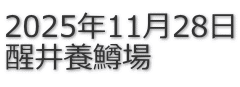 2025�N11��28�� ����{����