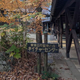 �I�����R�ώ@�̐X