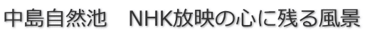 �������R�r�@NHK���f�̐S�Ɏc�镗�i